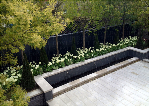 Belgravia Mews